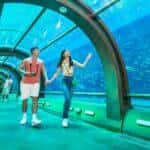 Top 10 khu vui chơi quanh Hà Nội dành cho gia đình